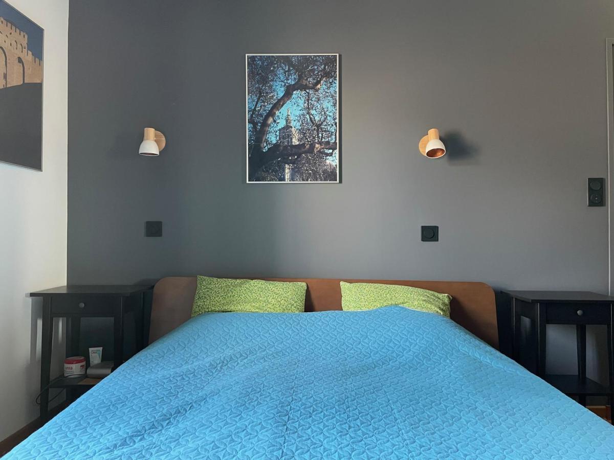 Apartament L'Atypique - T3 Grande Terrasse, Bbq Vue Et Cheminee Awinion Zewnętrze zdjęcie